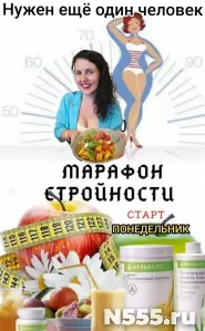 НП Гербалайф Herbalife Ставрополь